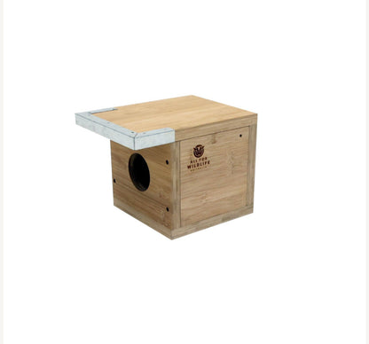 Owlet Nightjar & Tree Frog Nest Box